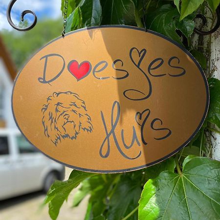 Appartement Doesjes Huis Naumburg  Ngoại thất bức ảnh